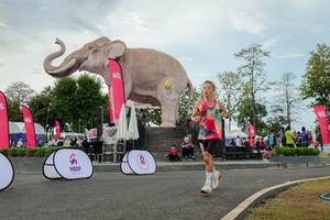 BIB: 
                            <button type="button" onclick="openModal(26528745)" class="btn btn-primary btn-sm float-right btn-popup" data-toggle="modal" data-target=".modal-high-quality">
                        <i class="fas fa-shopping-cart"></i> Add to Cart
                    </button>
                                            <button type="button" onclick="isThisMe(26528745, true)" class="btn btn-success btn-sm float-right btn-popup btn-isme hidden" data-toggle="tooltip" data-placement="bottom" title="นี่คือรูปของคุณใช่ไหม คลิกที่นี่เพื่อเอาเข้าอัลบั้ม">
                        <i class="fas fa-plus"></i> Add to album
                    </button>
                    <button type="button" onclick="isThisMe(26528745, false)" class="btn btn-warning btn-sm float-right btn-popup btn-isnotme hidden">
                        <i class="fas fa-ban"></i> Remove from album
                    </button>